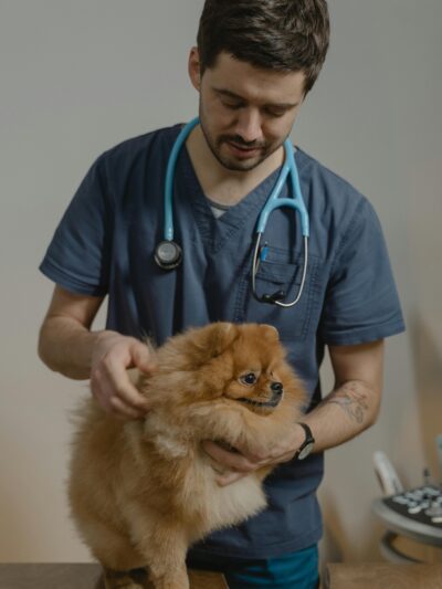 🐾 Mascotas y Veterinaria