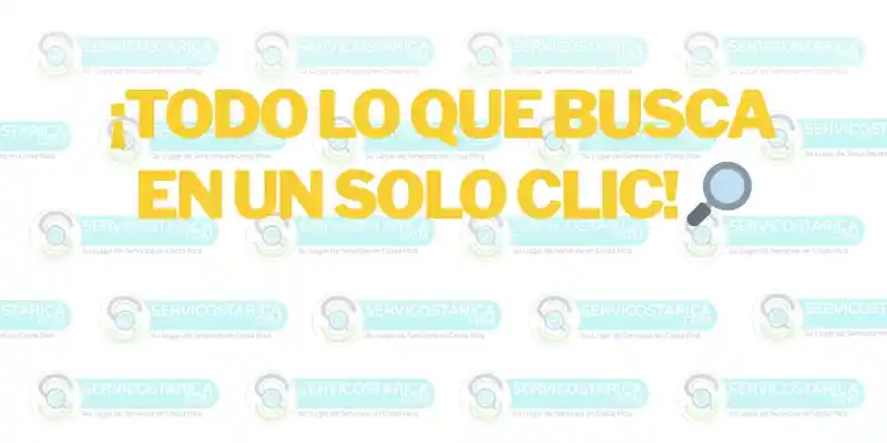 Banner Profesional VIP