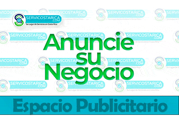 Banner Profesional VIP